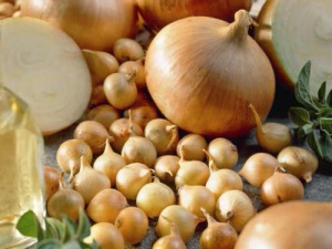 Лук севок Штутгартер Ризен (Россия) 1кг купить