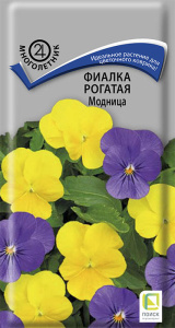 Фиалка Модница рогатая купить