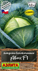 Капуста Авак F1  купить