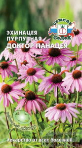 Эхинацея пурпурная Доктор Панацея  купить