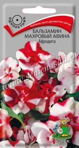 Бальзамин Афина F1 Афродита махровый  купить