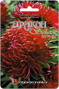 Астра Дракон селект Рубин  купить