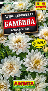 Астра Бамбина белоснежная Satimex купить