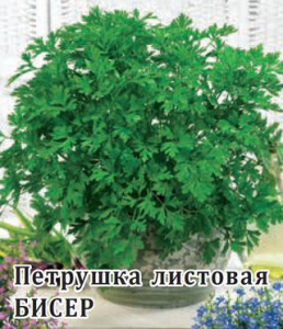 Петрушка листовая Бисер 50г купить