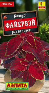 Колеус Файервэй ред вельвет Мн Sakata купить