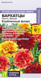 Бархатцы Френч Дварф Клубничный флирт купить