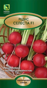 Редис Селеста F1 (ЛИ) купить