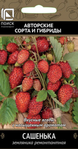 Земляника Сашенька ремонтантная купить