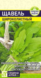 Щавель Широколистный  купить
