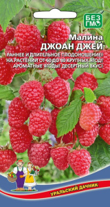 Малина Джоан Джей купить