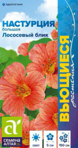 Настурция Лососевый Блик большая  купить