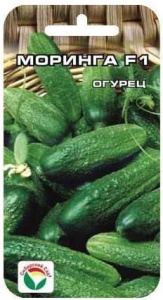 Огурец Моринга F1  купить