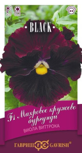 Виола Витрокка Махровое кружево бургунди Элитная клумба  купить