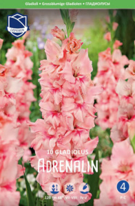 Гладиолус гофрированный Adrenalin (1х10шт) купить