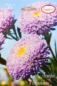 Астра Посейдон/1шт купить