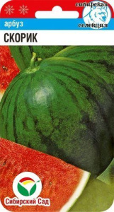 Арбуз Скорик  купить