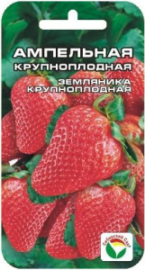 Земляника Ампельная  купить