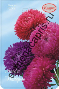 Астра смесь Палермо/1шт купить