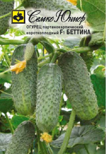 Огурец Беттина F1  купить