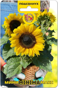 Подсолнух Мини-Макс F1 Минима карликовый купить