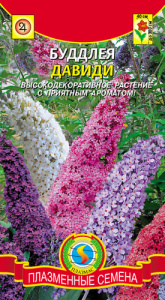 Буддлея Давиди  купить