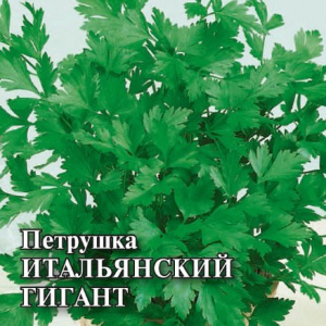 Петрушка листовая Итальянский гигант 25г купить