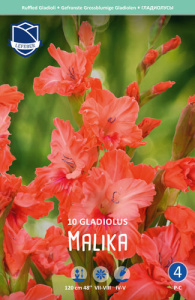 Гладиолус гофрированный Malika /10шт купить