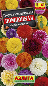Георгина Помпонная, смесь купить