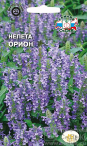 Непета Орион  купить