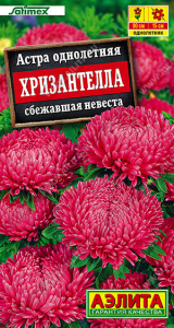 Астра Хризантелла сбежавшая невеста Satimex купить