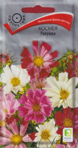 Космея Ракушка купить