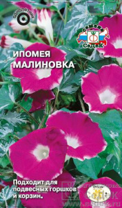 Ипомея нил Малиновка  купить