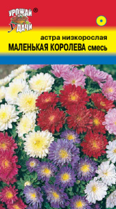 Астра Маленькая Королева, смесь  купить