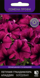 Петуния Аладдин F1 Бордовая грандифлора  купить