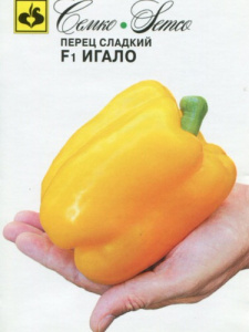 Перец Игало F1 купить