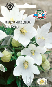 Платикодон Блюз (белый)  купить