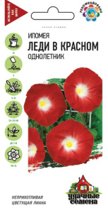 Ипомея нил Леди в красном  купить