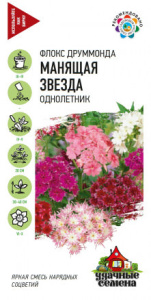 Флокс Манящая звезда друммонда купить