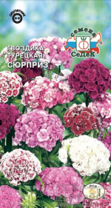 Гвоздика Сюрприз  купить