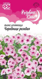 Флокс Чаровница розовая серия Розовые сны  купить