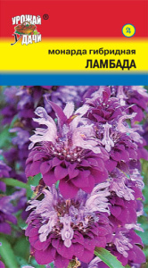 Монарда Ламбада гибридная  купить