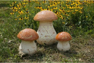 Шамот Гриб мал. СК08 купить