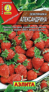 Земляника Александрина купить