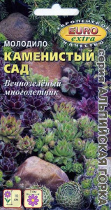 Молодило Каменистый сад, смесь  купить