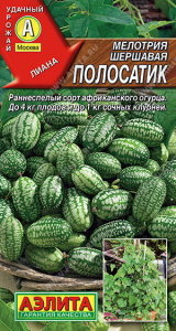 Мелотрия Полосатик купить