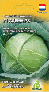 Капуста Адема  купить