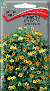 Тунбергия крылатая Смесь окрасок купить