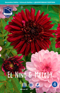 Смесь георгин El Nino & Melody /2шт купить