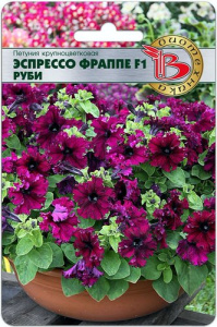 Петуния Эспрессо Фраппе F1 Руби крупноцветковая купить
