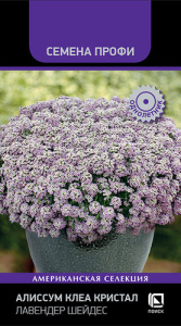 Алиссум Клеа Кристал F1 Лавендер Шейдес  купить